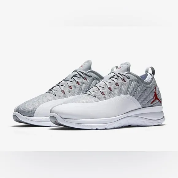Air Jordan Trainer Prime in Wolf Grey shoes size 9