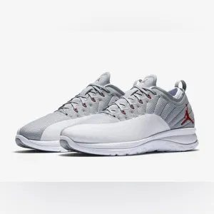 Air Jordan Trainer Prime in Wolf Grey shoes size 9