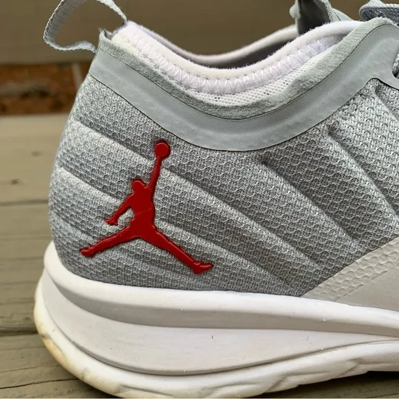 Air Jordan Trainer Prime in Wolf Grey shoes size 9