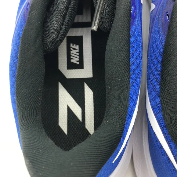 Men’s Nike Air Zoom Pegasus 39 Running Blue/White DH4071-400 USED Tried on Sz12