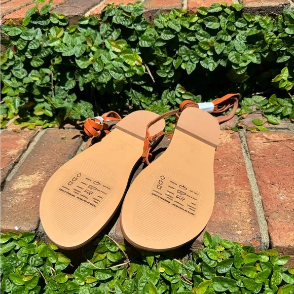 New🌟Anthropologie Pilcro Harness Tie Up Sandals Gladiator Leather Honey Brown