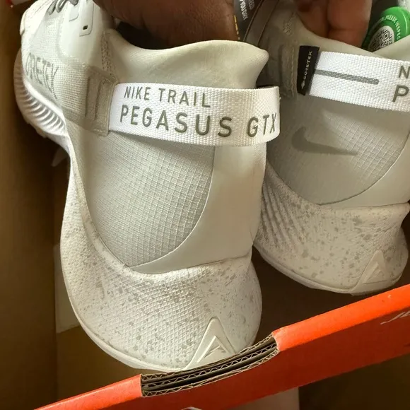 Nike Pegasus Trail 2 Gore-Tex Pure Platinum