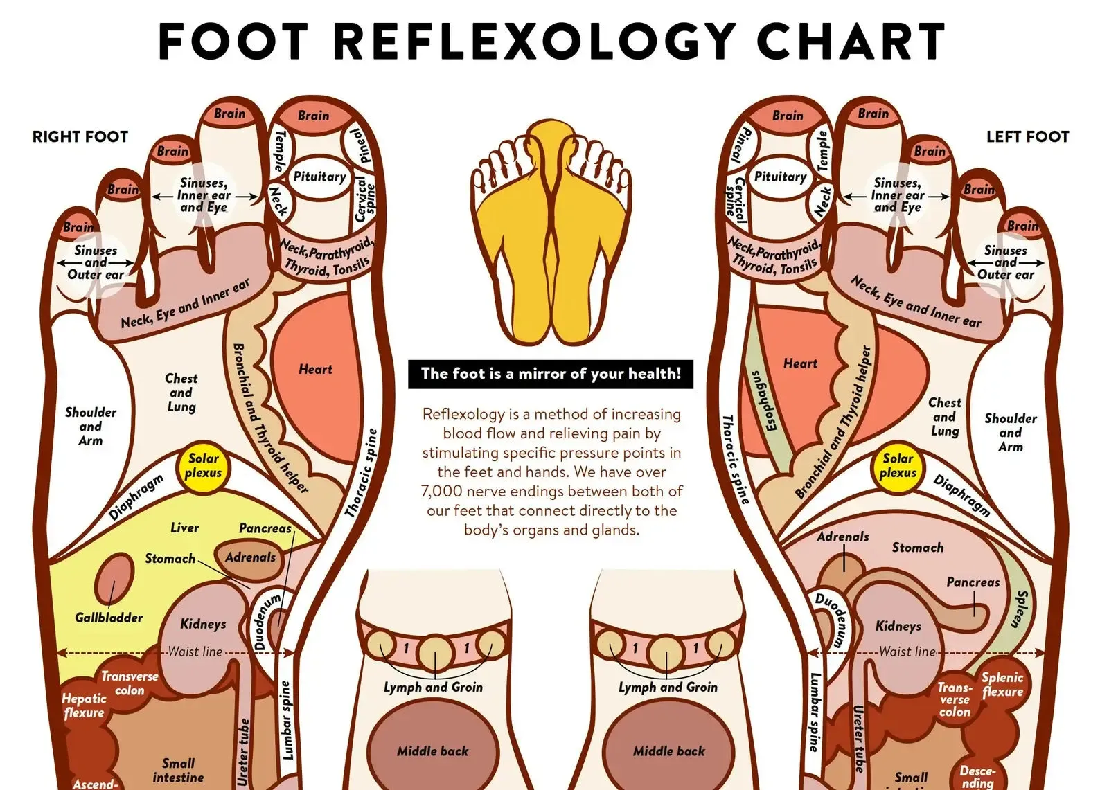 SoleRelief™ Acupunture Sandal